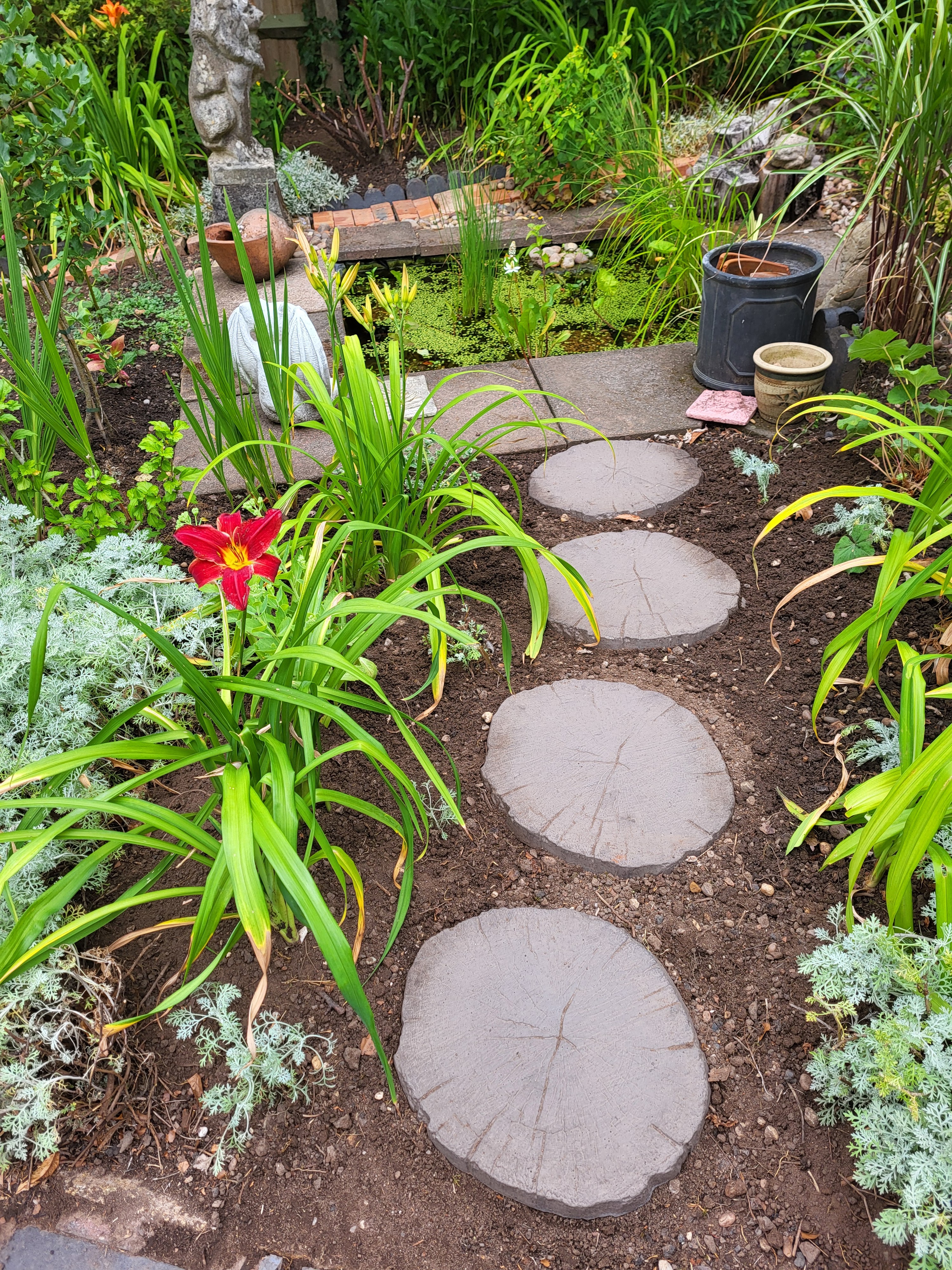 The new path to Lion Pond. This will make it easier for my grandchildren to get closer to watch the wildlife (under supervision) without trampling on my precious plants. 
