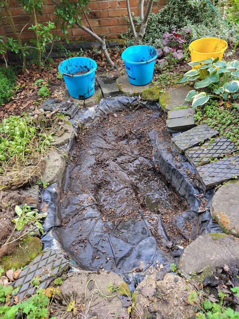 Job almost completed. I can remove and discard the pond liner now.  