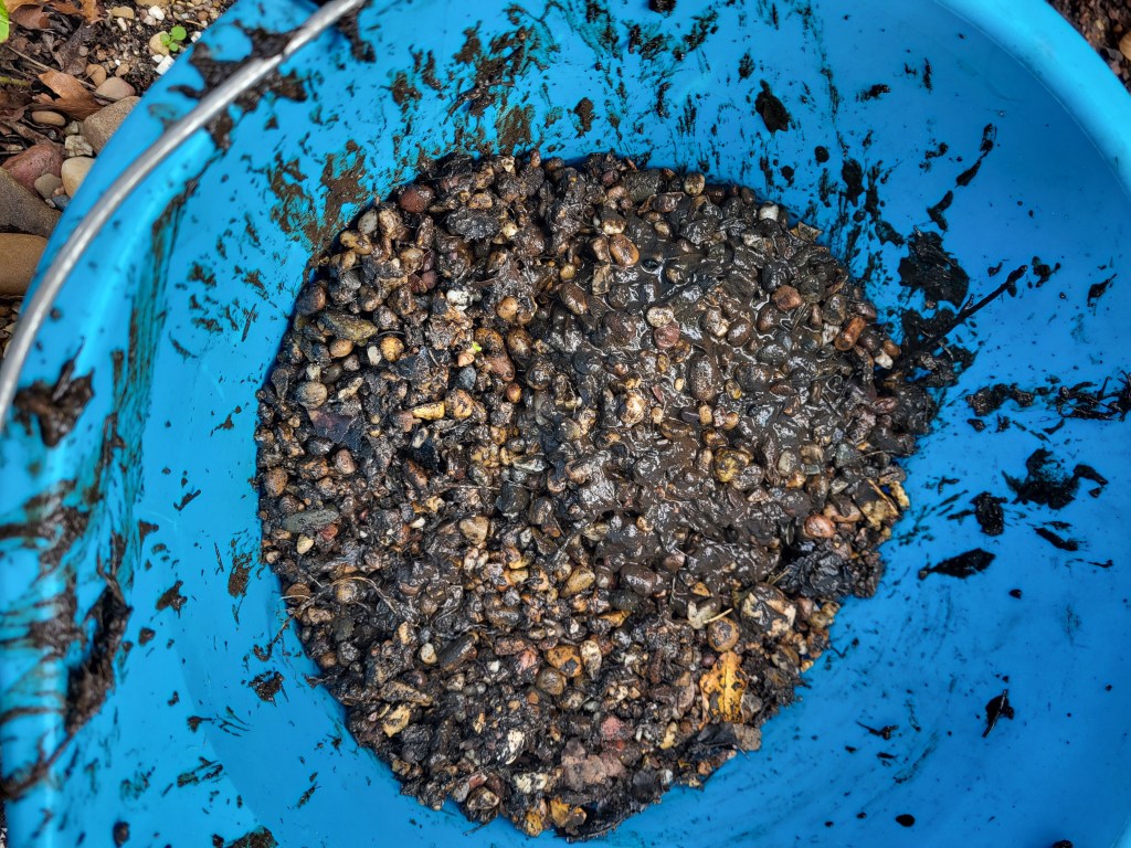 Dirty pond gravel before the cleaning.