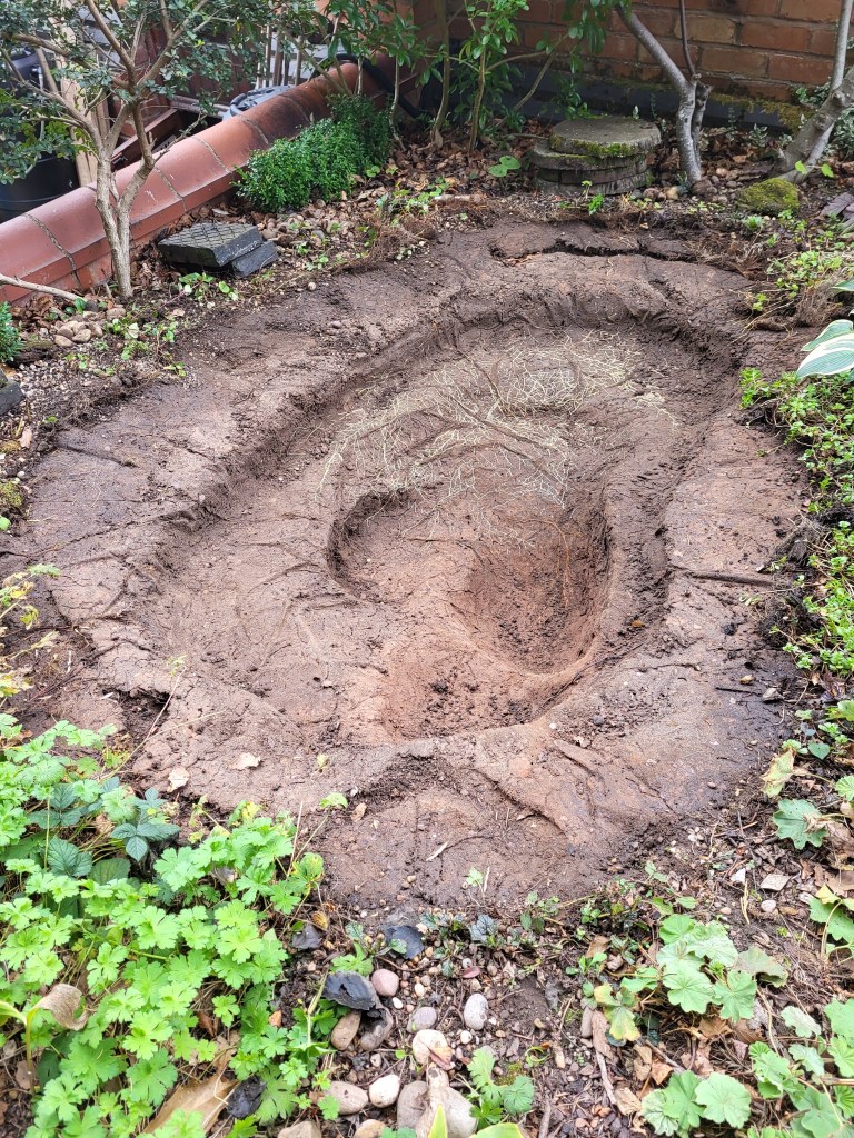 Pond liner removed to reveal the original shape.