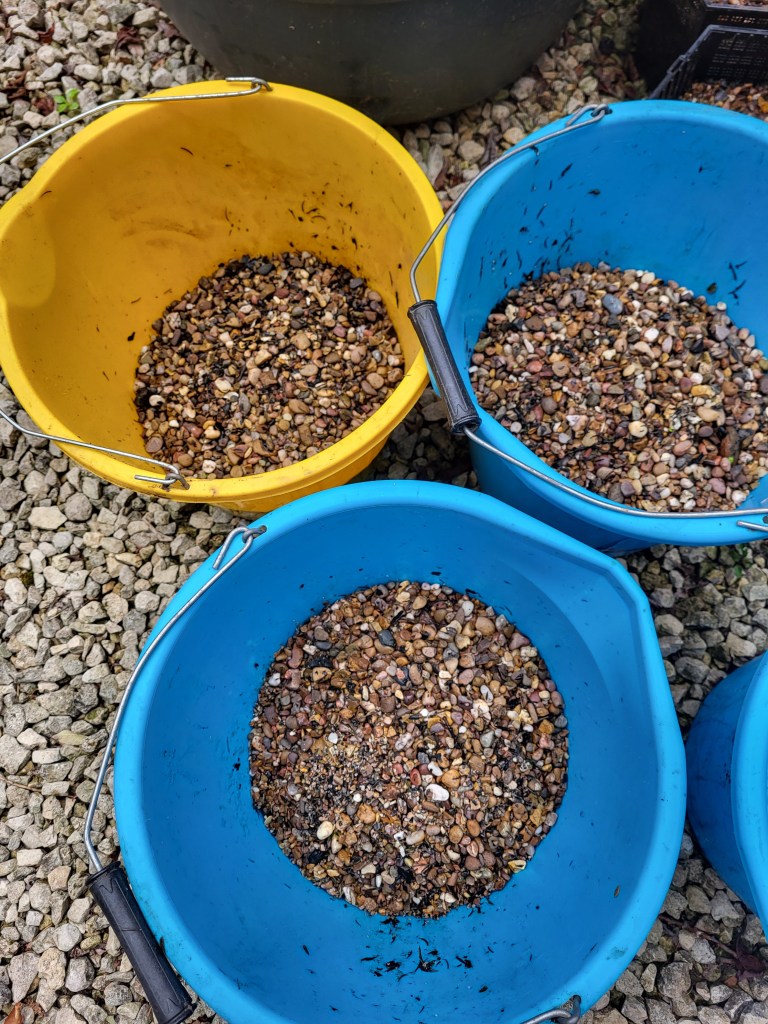 Cleaned pond gravel.