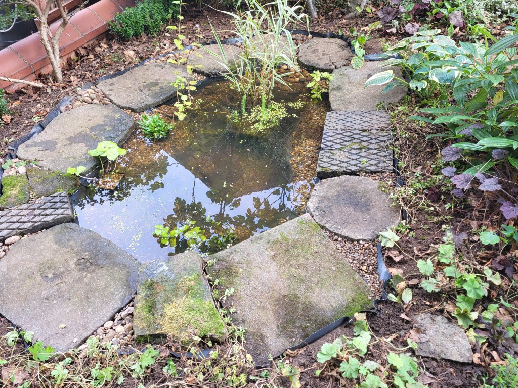 This time, I've used larger stepping stones for a less fussy impression. Safer for the grandchildren too.