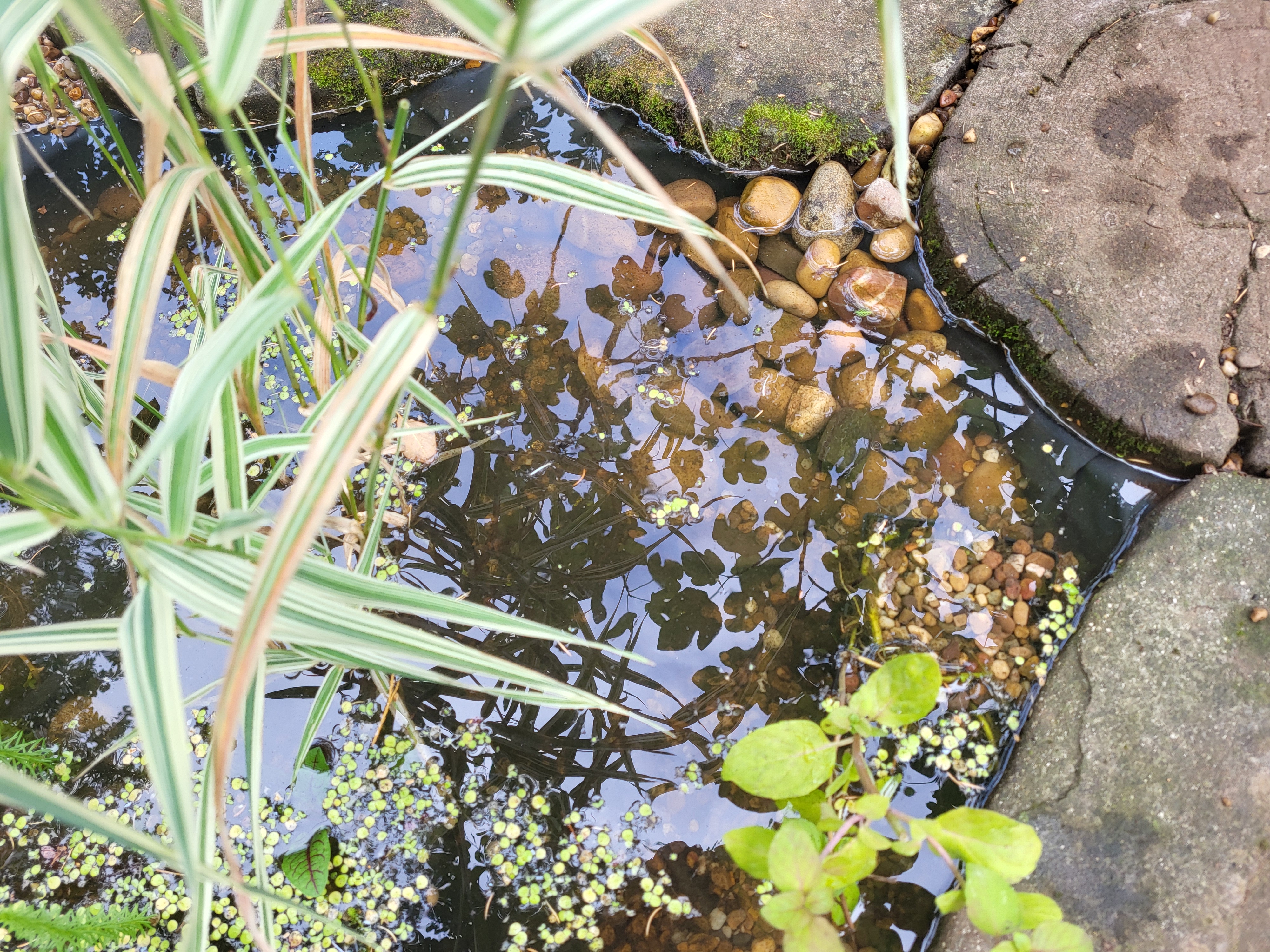 A close-up on the finished project but read on to see how this was achieved. 