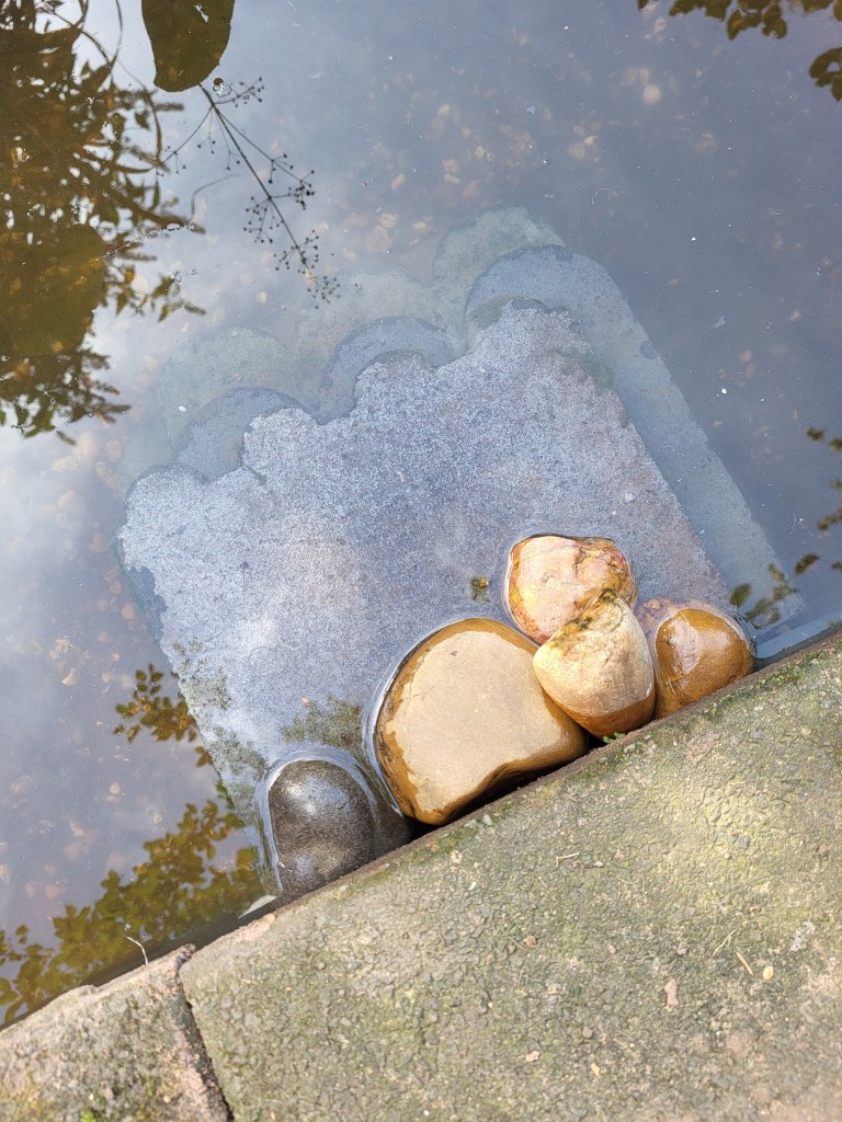 Stairway for frogs and newts installed.